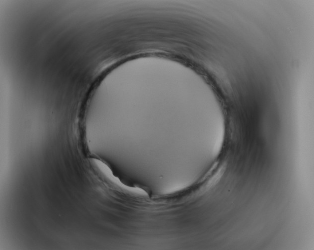 X0000086941497200705141752