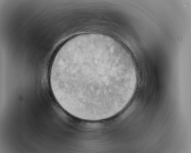 X0000086941498200705141752