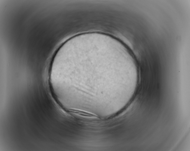 X0000086941500200705141752