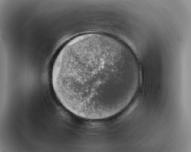 X0000086941501200705141752