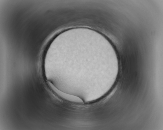 X0000086941502200705141752