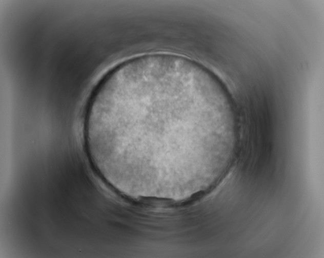 X0000086941503200705141752