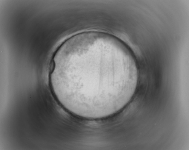 X0000086941504200705141752