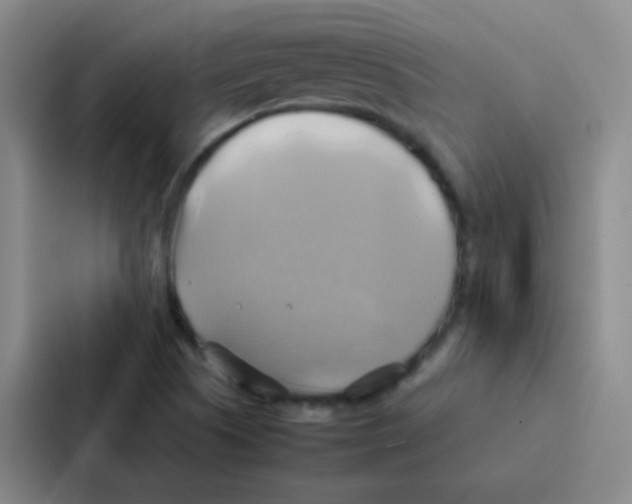 X0000086941505200705141752