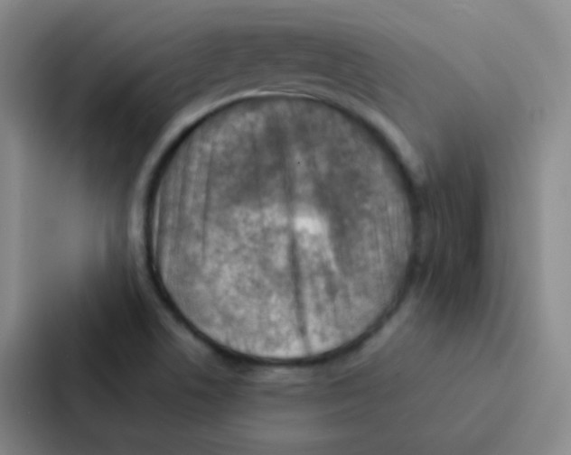 X0000086941506200705141752