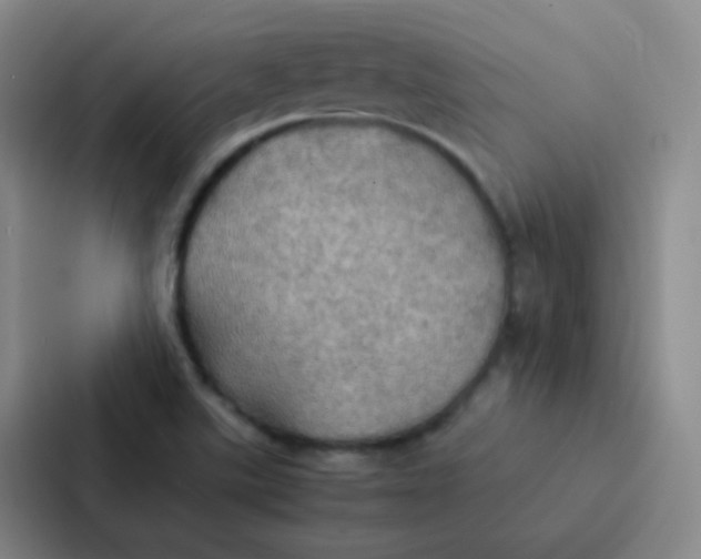 X0000086941507200705141752