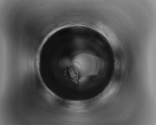 X0000086941508200705141752