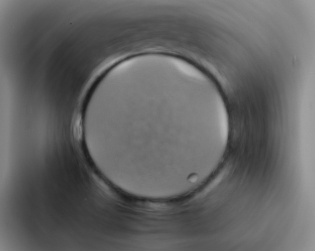 X0000086941509200705141752