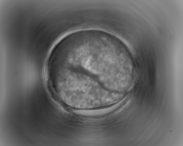 X0000086941510200705141752