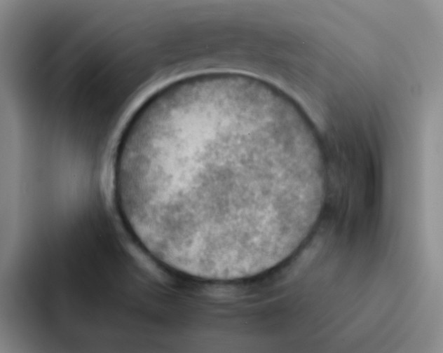 X0000086941511200705141752