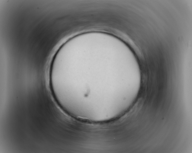 X0000086941512200705141752