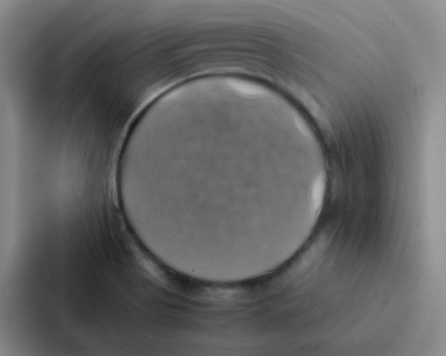 X0000086941513200705141752