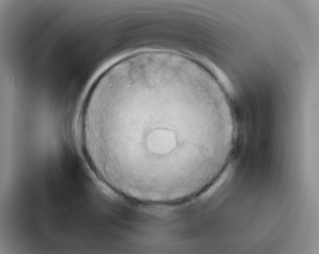 X0000086941514200705141752