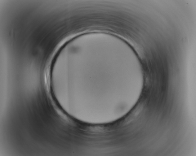 X0000086941515200705141752