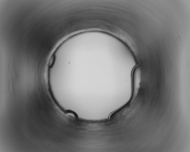 X0000086941516200705141752