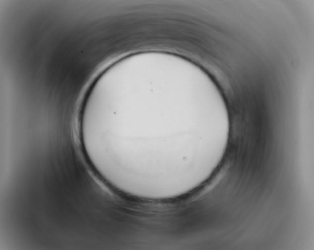 X0000086941517200705141752