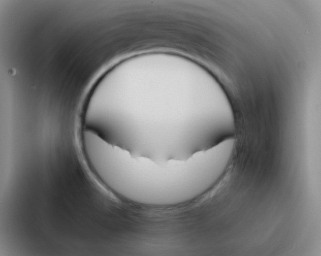 X0000086941518200705141752