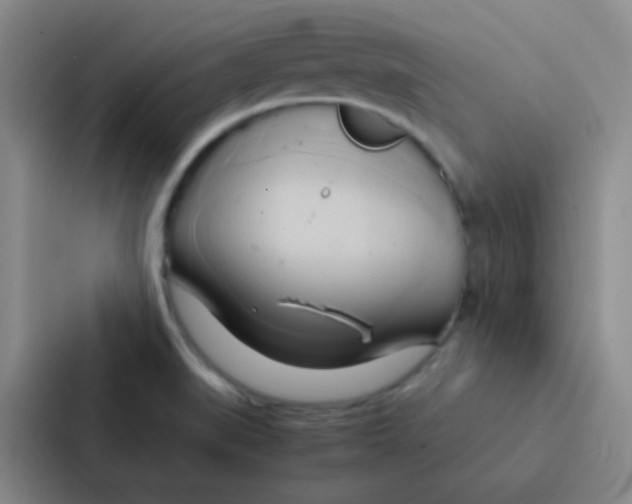 X0000086941519200705141752