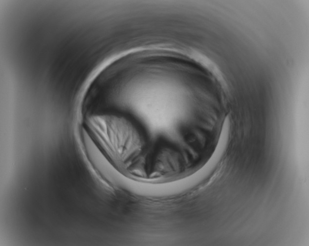 X0000086941520200705141752