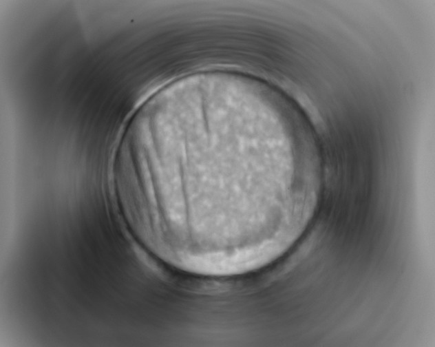 X0000086941521200705141752