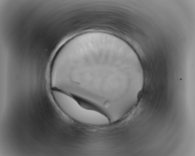 X0000086941522200705141752