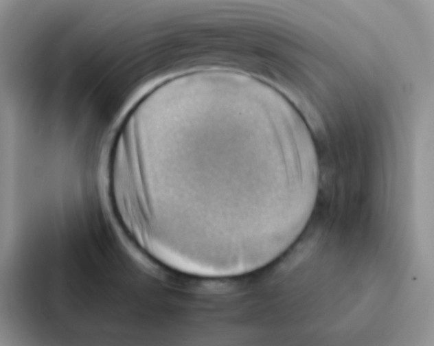 X0000086941523200705141752