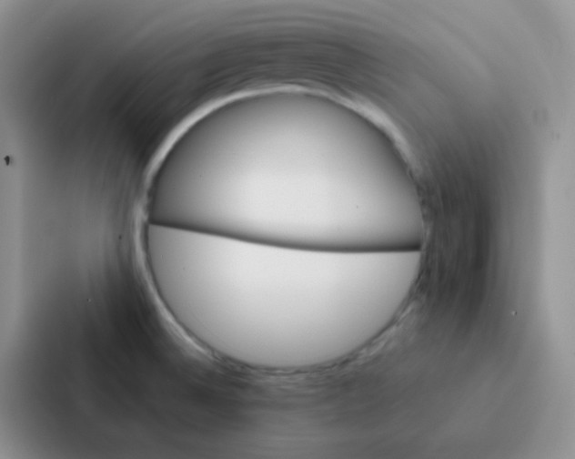 X0000086941524200705141752