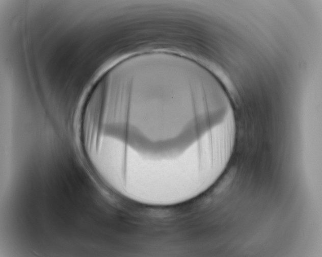 X0000086941525200705141752