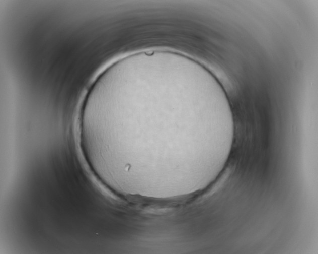 X0000086941526200705141752