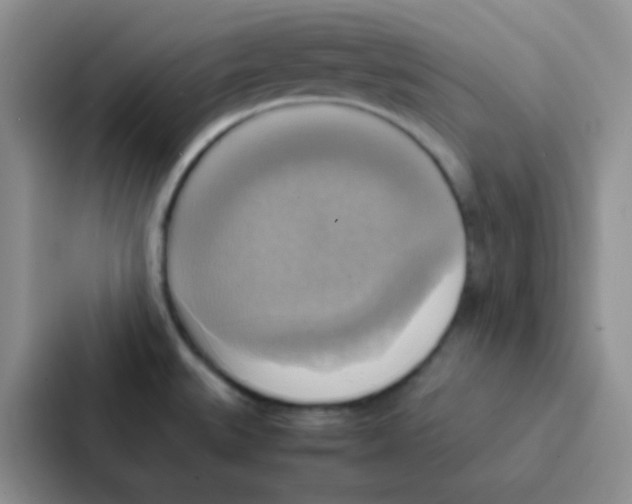 X0000086941527200705141752