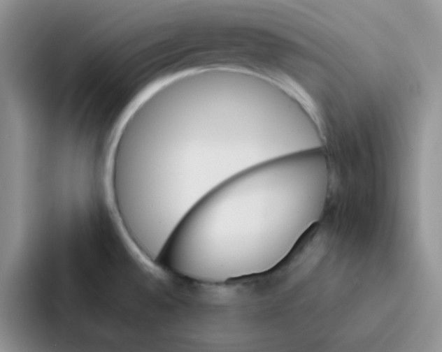 X0000086941528200705141752