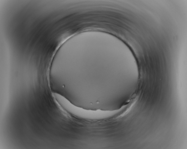 X0000086941529200705141752