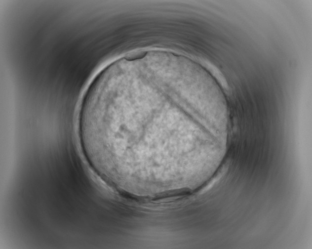 X0000086941530200705141752