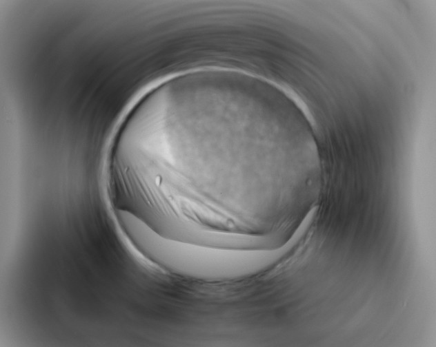 X0000086941531200705141752