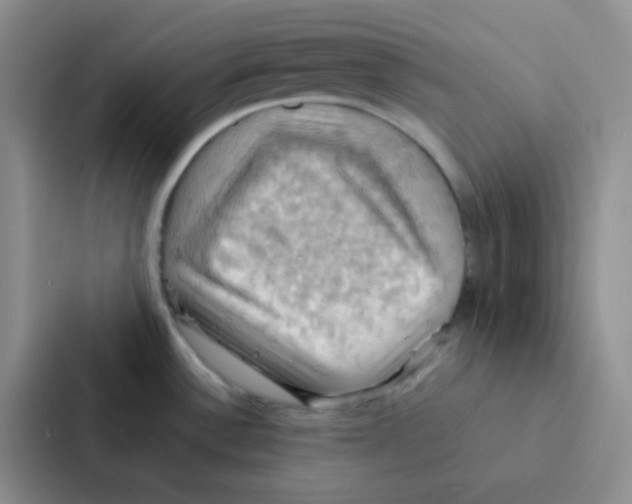 X0000086941532200705141752