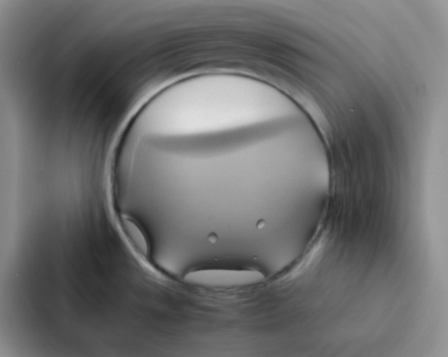 X0000086941533200705141752