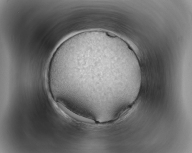 X0000086941534200705141752