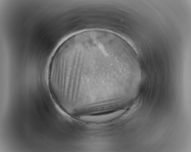 X0000086941535200705141752