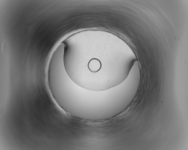 X0000086941536200705141752