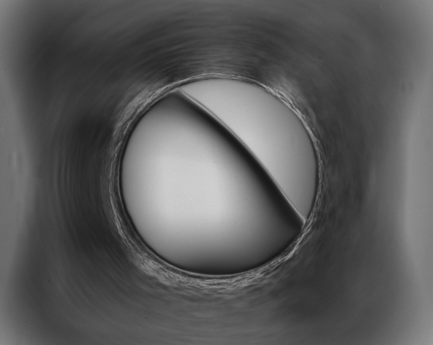 X0000086950001200704161107