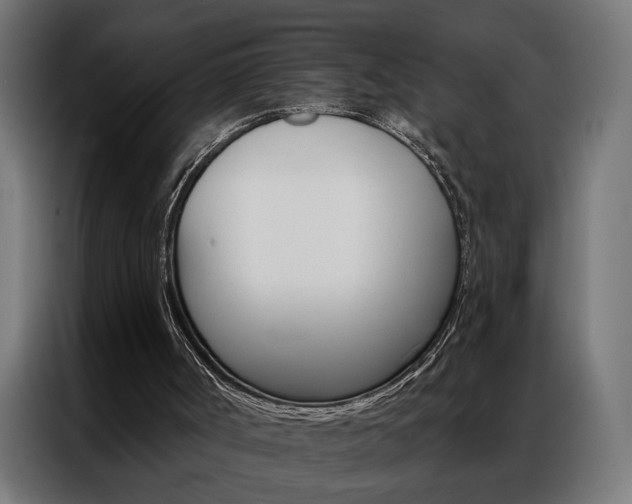 X0000086950002200704161107