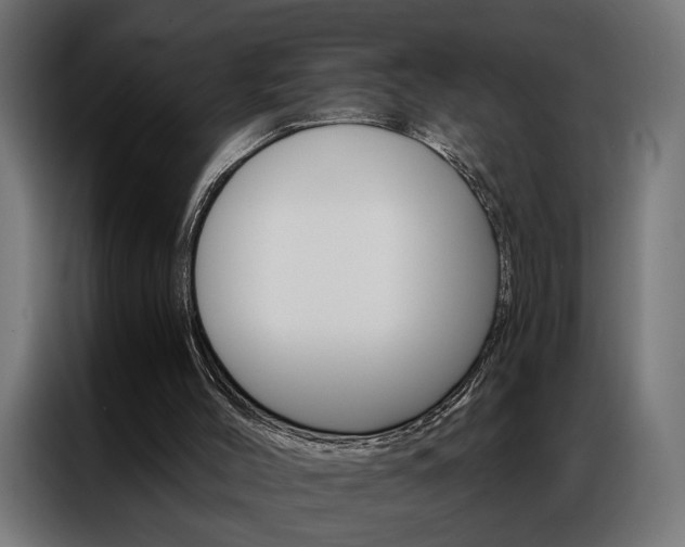 X0000086950004200704161107