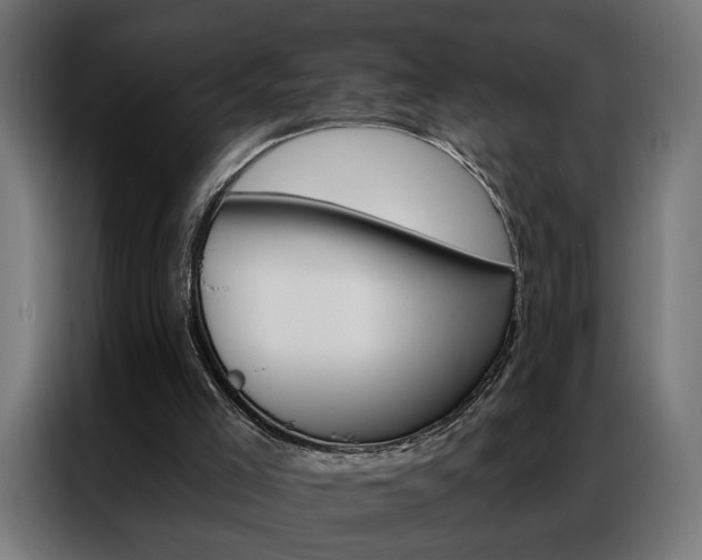 X0000086950005200704161107