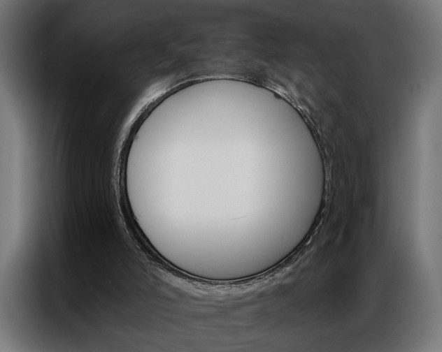X0000086950006200704161107