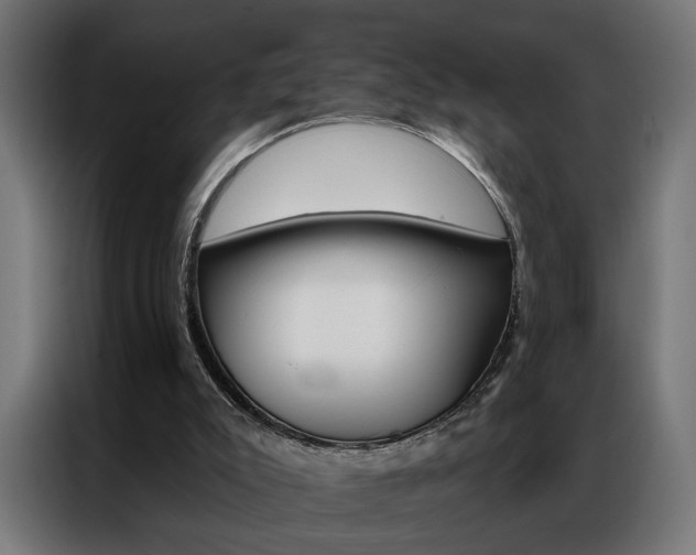 X0000086950007200704161107