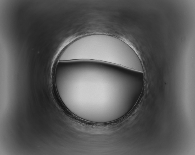 X0000086950008200704161107