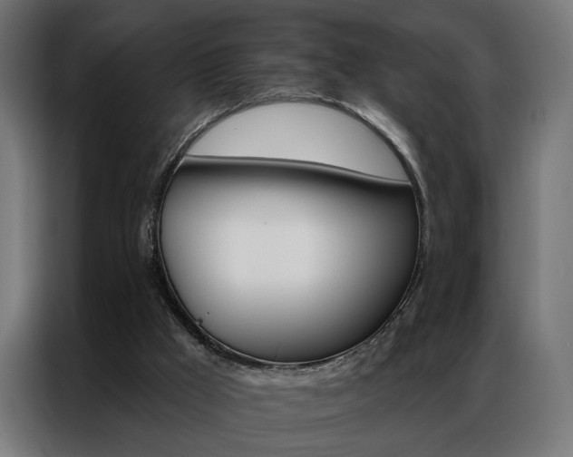 X0000086950009200704161107