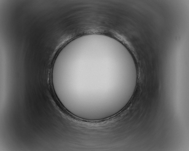 X0000086950010200704161107