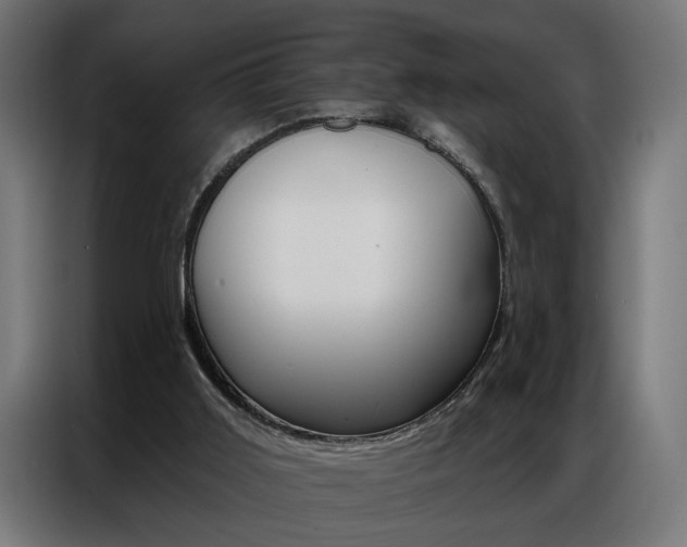 X0000086950011200704161107