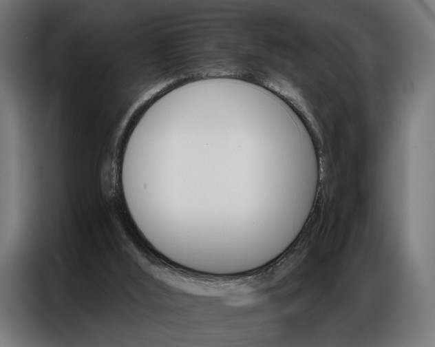 X0000086950012200704161107